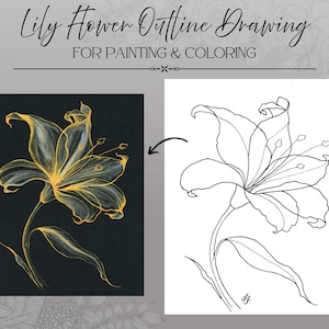 Puede incluir: Un gráfico digital titulado Lily Flower Outline Drawing for Painting & Coloring. Muestra un fondo negro con una ilustración de lirio en tonos dorados junto a un fondo blanco con una versión de arte lineal negro de la misma flor de lirio.