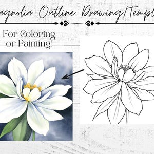Magnoliatekening afdrukbare traceerbare sjabloon overzichtspagina om in te kleuren of te schilderen