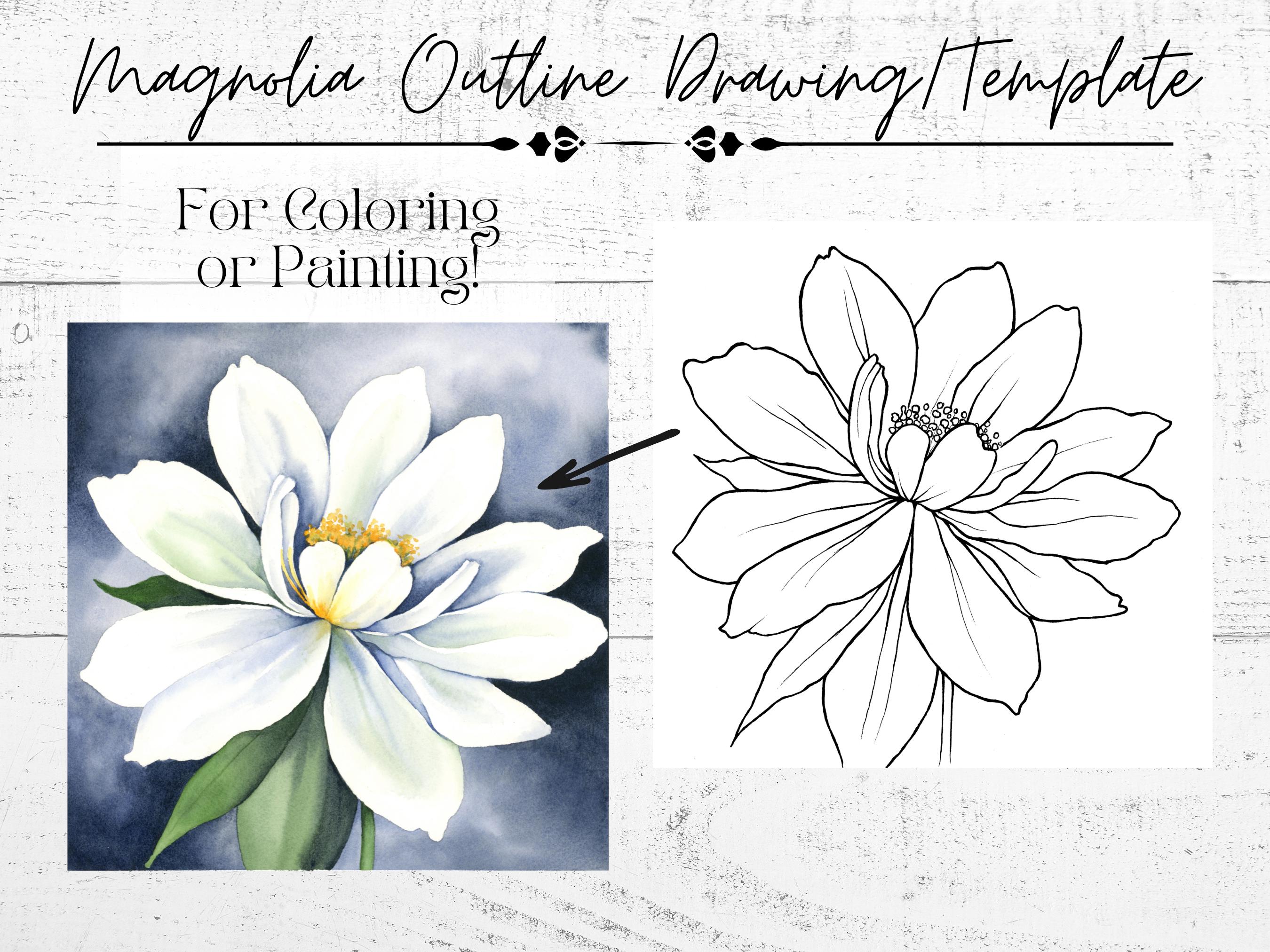 Magnolia Drawing Printable Traceable Template Outline Page for Coloring or Painting