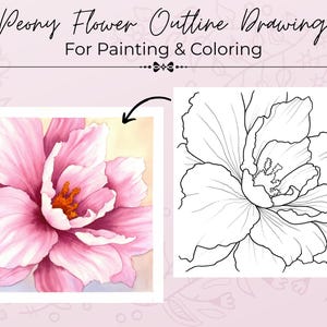 Könnte beinhalten: Das Bild zeigt eine Aquarellmalerei und eine Strichzeichnung einer Pfingstrose. Das Aquarell zeigt eine rosa Pfingstrose mit orangefarbenem Zentrum. Die Strichzeichnung ist eine Schwarz-Weiß-Umrisszeichnung der Blume zum Ausmalen.