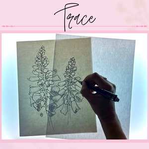 May include: A person tracing a drawing of two foxglove flowers on a light table. The drawing is on a piece of brown paper and the person is using a black pen.