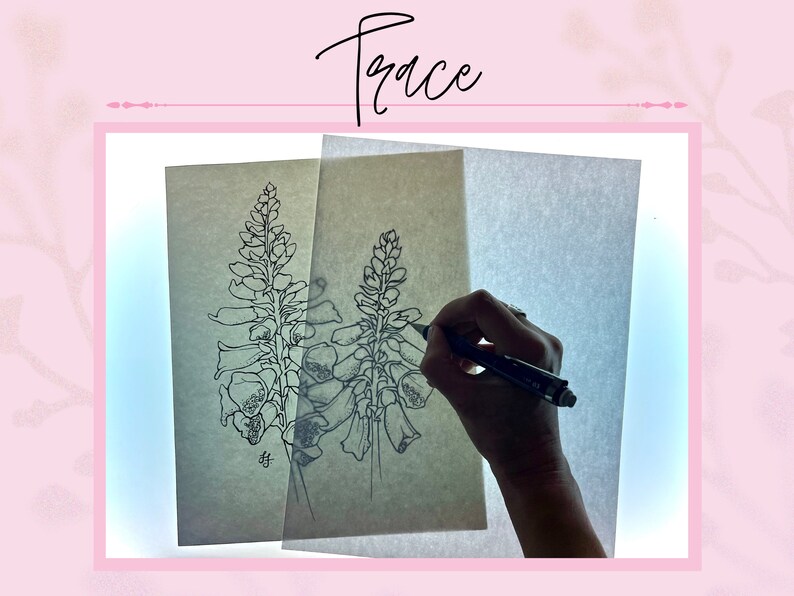 May include: A person tracing a drawing of two foxglove flowers on a light table. The drawing is on a piece of brown paper and the person is using a black pen.