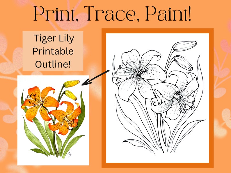 Tiger Lily Flower Printable Outline for Painting and Coloring Etsy