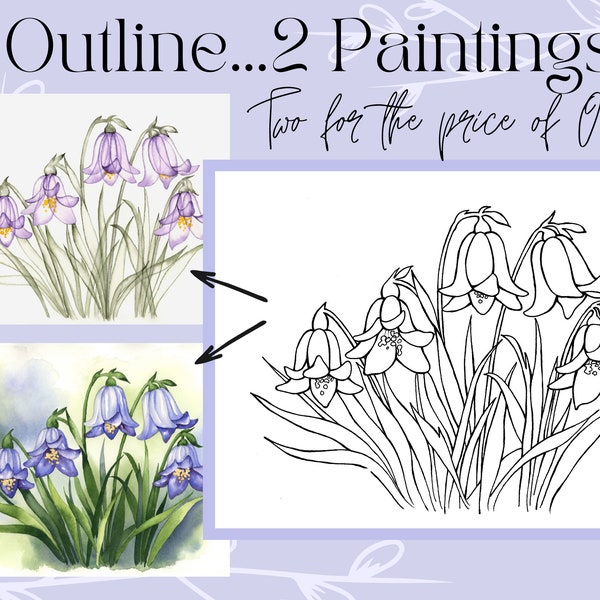Bluebell Flower Outline Drawing 8x10 PDF Digital Download for Coloring or Painting
