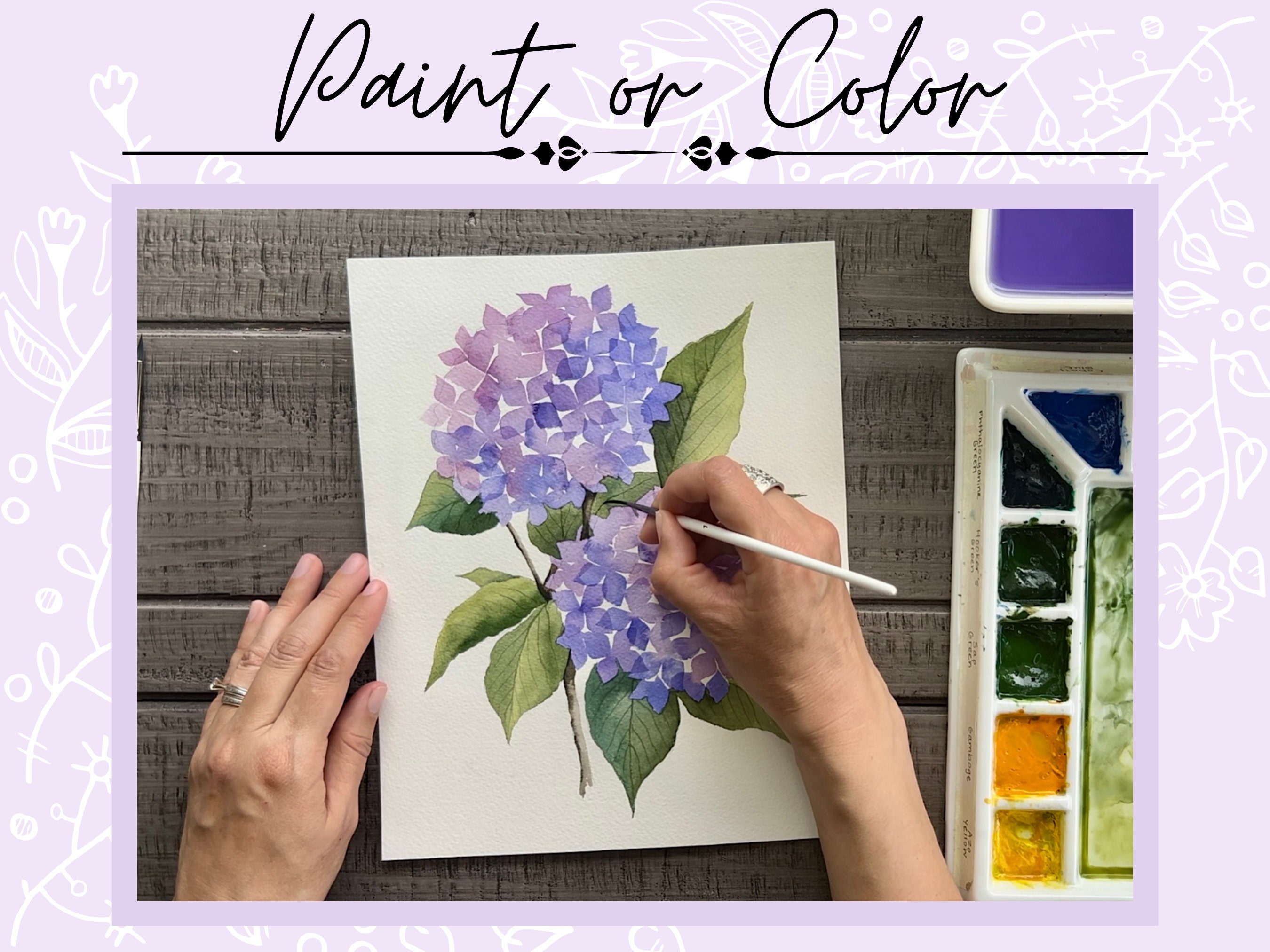 Hydrangea Flower Outline Drawing Page for Coloring or Painting Digital ...