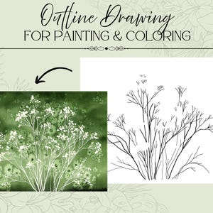 Baby's Breath Salt Texture Flower Outline Drawing Template PDF Digital Download for Painting & Coloring