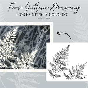 May include: A watercolor painting of white fern fronds against a dark, textured background. The image is framed in white. Next to it is a black and white line drawing of ferns. Text at the top reads "Fern Outline Drawing FOR PAINTING & COLORING."