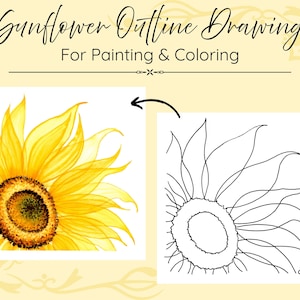 May include: A digital graphic titled Sunflower Outline Drawing For Painting & Coloring, featuring a yellow sunflower illustration on the left and a corresponding black and white line art outline on the right with an arrow pointing between them.