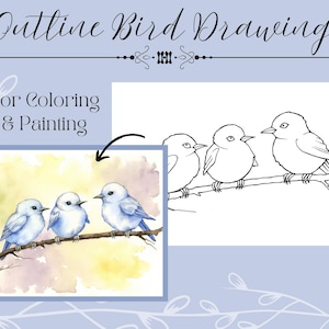 Schattige drie vogels schets tekening pdf digitale download afdrukbare sjabloon om te schilderen of in te kleuren