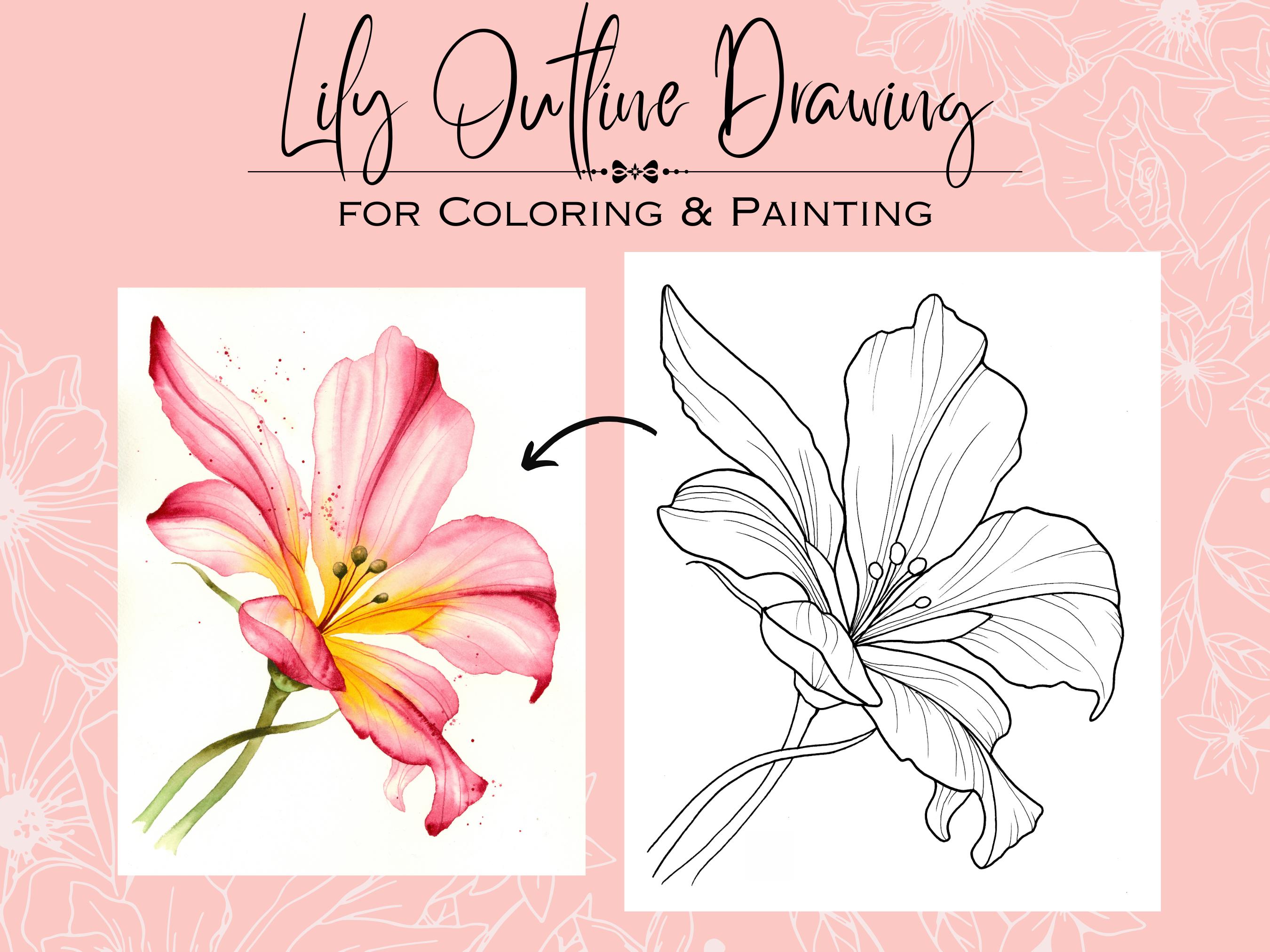 Lelie tekening - Etsy België, image size:2700x2025
