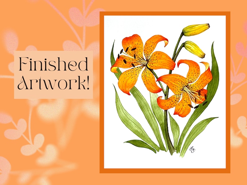 Tiger Lily Flower Printable Outline for Painting and Coloring - Etsy