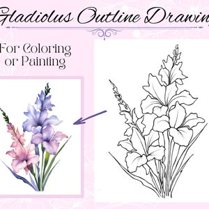 Gladiolus Flower Drawing Outline Printable PDF Digital Download for Coloring or Painting zdjęcie 1