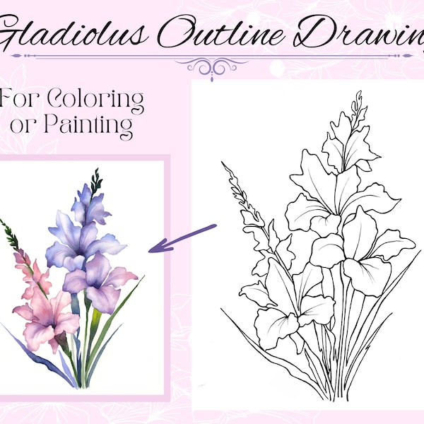 Gladiolus bloemtekening overzicht afdrukbare PDF digitale download om in te kleuren of te schilderen