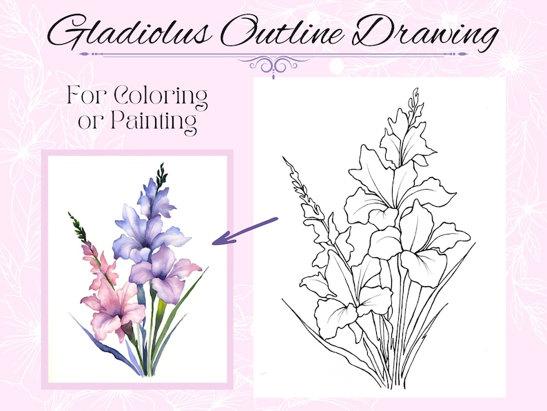 Gladiolus Flower Drawing Outline Printable PDF Digital Download for Coloring or Painting zdjęcie 1