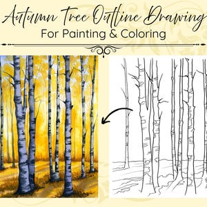 May include: A digital graphic titled Autumn Tree Outline Drawing For Painting & Coloring, featuring a watercolor-style painting of a yellow birch forest next to a black and white line art outline of the same tree scene.