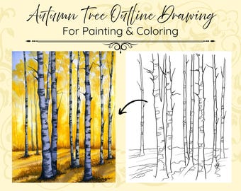 May include: A digital graphic titled Autumn Tree Outline Drawing For Painting & Colouring, featuring a watercolour-style painting of a yellow birch forest next to a black and white line art outline of the same tree scene.