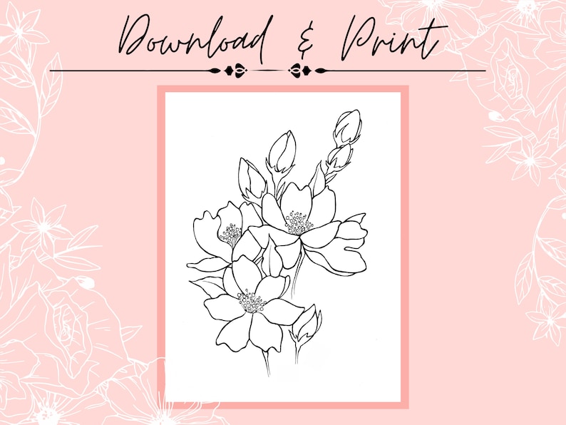 Pink and Orange Flower and Bud Drawing Printable PDF Outline for Coloring or Painting image 2