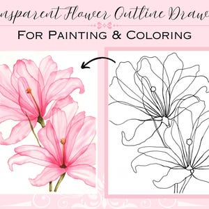 Twee transparant roze bloemen overzichtssjabloon pdf digitale afdrukbare download tekening om in te kleuren of te schilderen