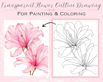 Dwa przezroczyste różowe kwiaty Kontur szablonu PDF Cyfrowy wydruk do pobrania Rysunek do kolorowania lub malowania