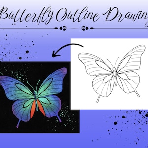 May include: The image shows a butterfly outline drawing with the text "Butterfly Outline Drawing". It includes a colourful butterfly illustration with blue, green, and orange hues, and a black and white line drawing of a butterfly.