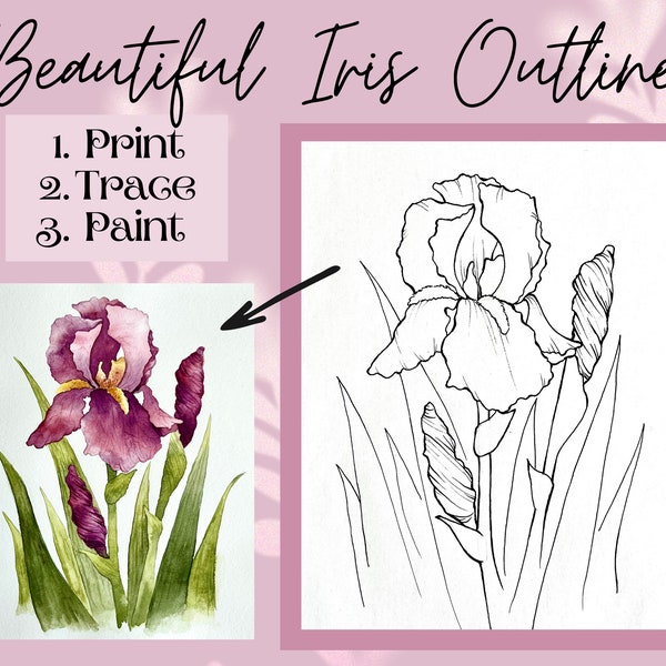 Iris Flower Outline/Template! Download Digital PDF Printout!