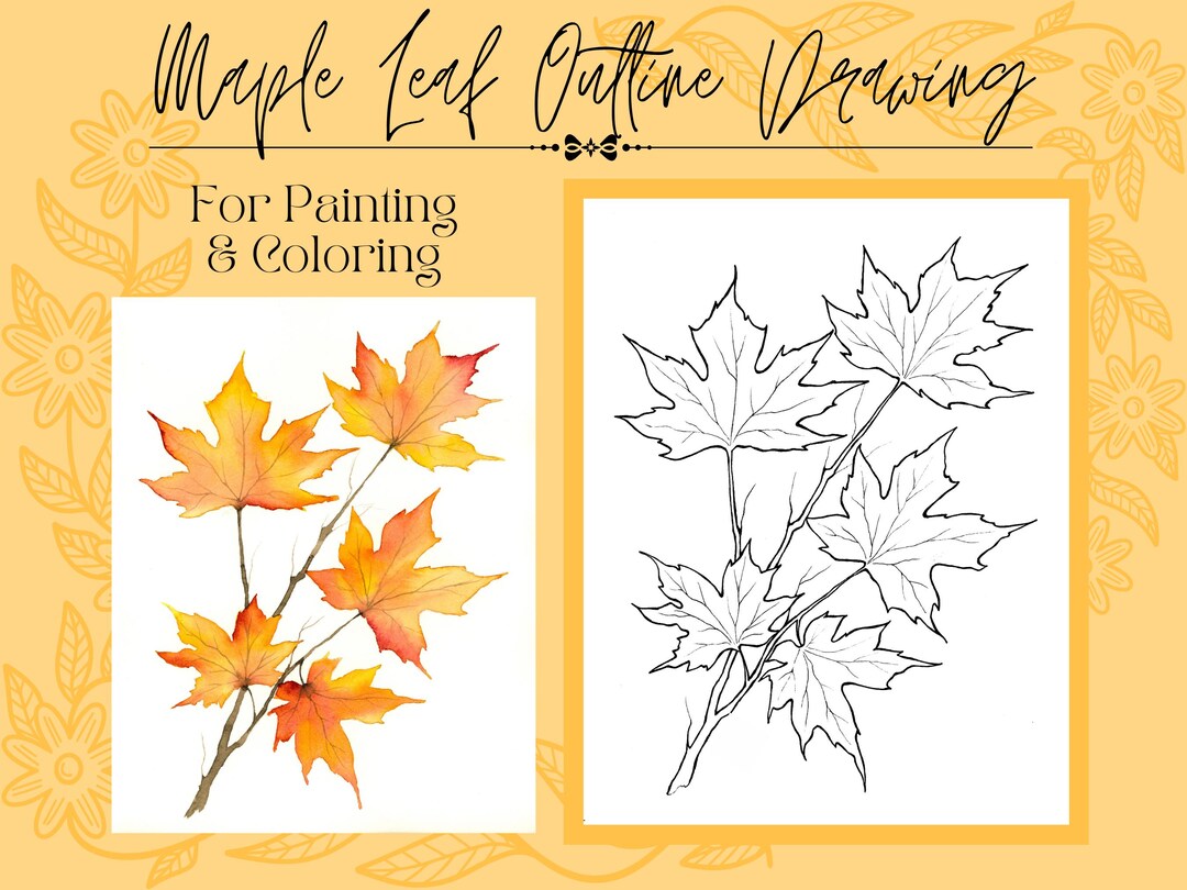 Herfst esdoornblad tekening overzicht digitale download pdf-sjabloon om in  te kleuren of te schilderen - Etsy België, image size:1080x810