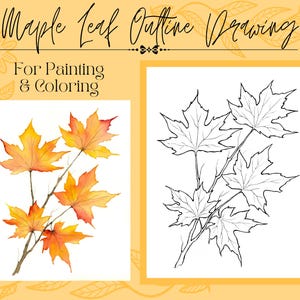 Herbst Ahornblatt Zeichnung Umriss PDF Digital Download Vorlage zum Färben oder Malen