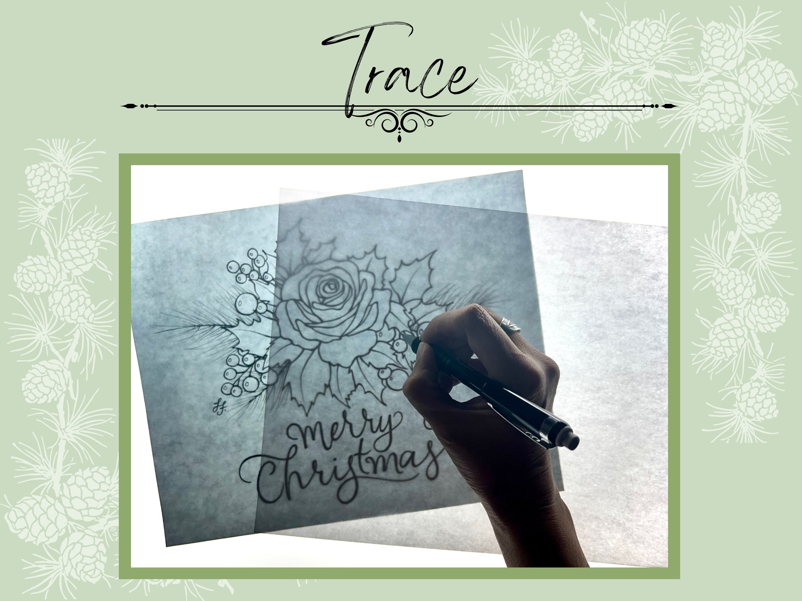 Free Printable Christmas Roses Rose Flower Berry Christmas Printable Traceable PDF Outline for ...