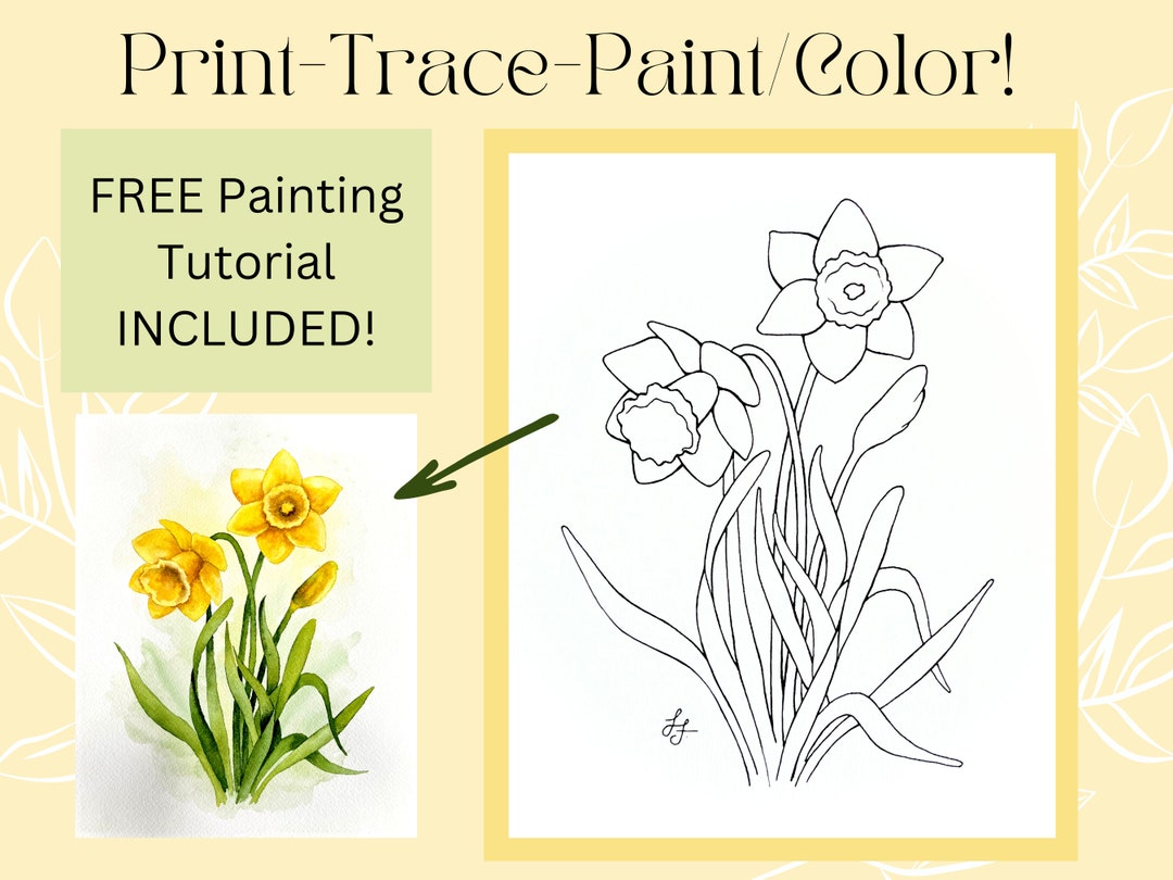 Printable Download of Daffodil Flower Outline Drawing!