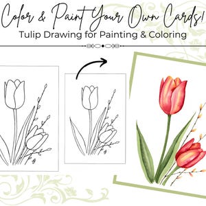 May include: Color & Paint Your Own Cards! The image shows a tulip drawing for painting and coloring. The image includes a black and white line drawing of a tulip and a watercolor painting of a red and yellow tulip with green leaves and yellow accents.