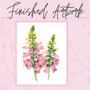 May include: Watercolor painting of pink and yellow foxglove flowers on a white background.