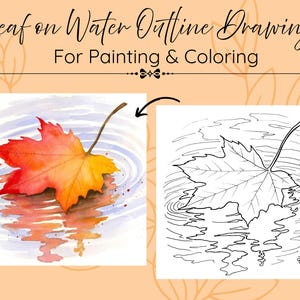 May include: A digital graphic featuring the text Leaf on Water Outline Drawing For Painting & Coloring. It displays a watercolor illustration of a red and yellow maple leaf floating on water next to a black and white line art version of the same.