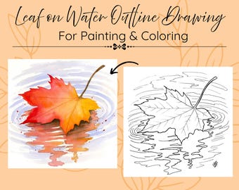 Autumn Fall Maple Leaf on Water Drawing Outline Digital Download PDF Template for Painting and Coloring