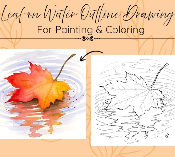 Autumn Fall Maple Leaf on Water Drawing Outline — PDF Template for Painting