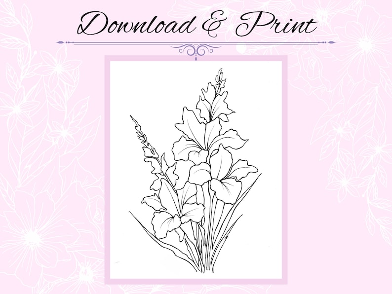 Gladiolus Flower Drawing Outline Printable PDF Digital Download for Coloring or Painting zdjęcie 2