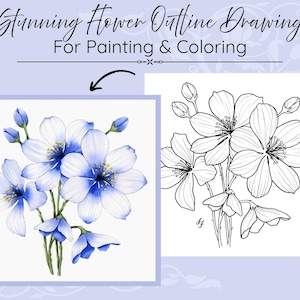 May include: A digital graphic featuring the text Stunning Flower Outline Drawing For Painting & Coloring. It displays a blue and white watercolor-style flower illustration alongside a black and white line art version of the same floral arrangement.