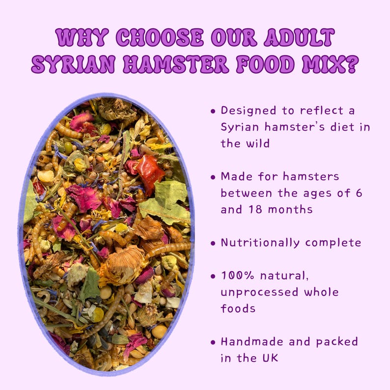 Puede incluir: Imagen de una mezcla de comida para h&aacute;mster sirio, con una mezcla de flores secas, semillas y granos. El texto dice "WHY CHOOSE OUR ADULT SYRIAN HAMSTER FOOD MIX?" y enumera caracter&iacute;sticas como ingredientes naturales.