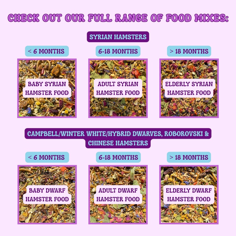 Puede incluir: Imagen que muestra una gama completa de mezclas de alimentos para h&aacute;msteres. Las categor&iacute;as incluyen h&aacute;msteres sirios y enanos, con opciones para beb&eacute;s, adultos y ancianos. El texto dice: "Consulta nuestra gama completa de mezclas de alimentos:"
