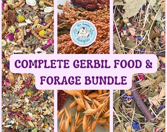 Complete Gerbil Food and Forage Bundle – Including Food Mix, Sprays, and Gnaw and Chew Mix