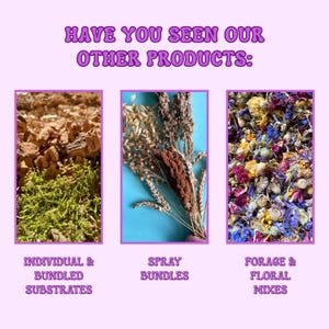 Puede incluir: Imagen promocional con el texto "HAVE YOU SEEN OUR OTHER PRODUCTS:" y tres categor&iacute;as de productos: "INDIVIDUAL & BUNDLED SUBSTRATES", "SPRAY BUNDLES" y "FORAGE & FLORAL MIXES". La imagen tiene un borde y fondo morados.