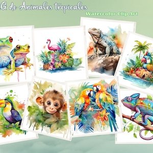 Watercolor Tropical Animals Clipart, 15 PNG Images of Rainforest Animals Transparent Background for Sublimation or Print