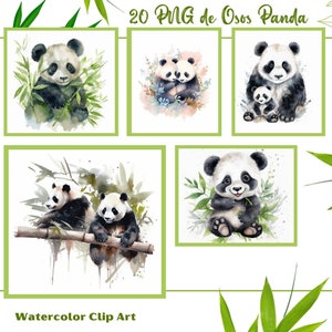 Panda Bears and Bamboo Clipart,20 Watercolor Panda Bears Images in PNG Format Transparent Background for Sublimation Printing
