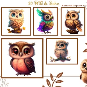 Big Eyed Owls Clipart, 20 adorables hiboux en format PNG fond transparent pour l’impression par sublimation, oiseaux à usage commercial