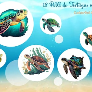 Cute Sea Turtles Clipart, 18 Sea Turtles in PNG Format Transparent Background for Sublimation or Printing, Commercial Use