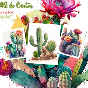 Clip art de cactus acuarelados, 17 cactus en acuarela PNGs, clipart de plantas del desierto para sublimación o impresión, uso comercial