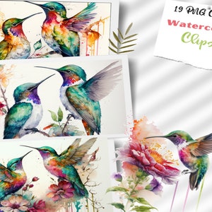 Watercolor hummingbirds clip art, 19 watercolor hummingbirds PNGs, cute bird designs for sublimation, commercial use