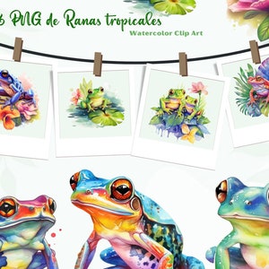 Tropical Frogs Clipart, 16 Illustrations of Arrow Frogs on Leaves in PNG Format Transparent Background for Sublimation or Printing