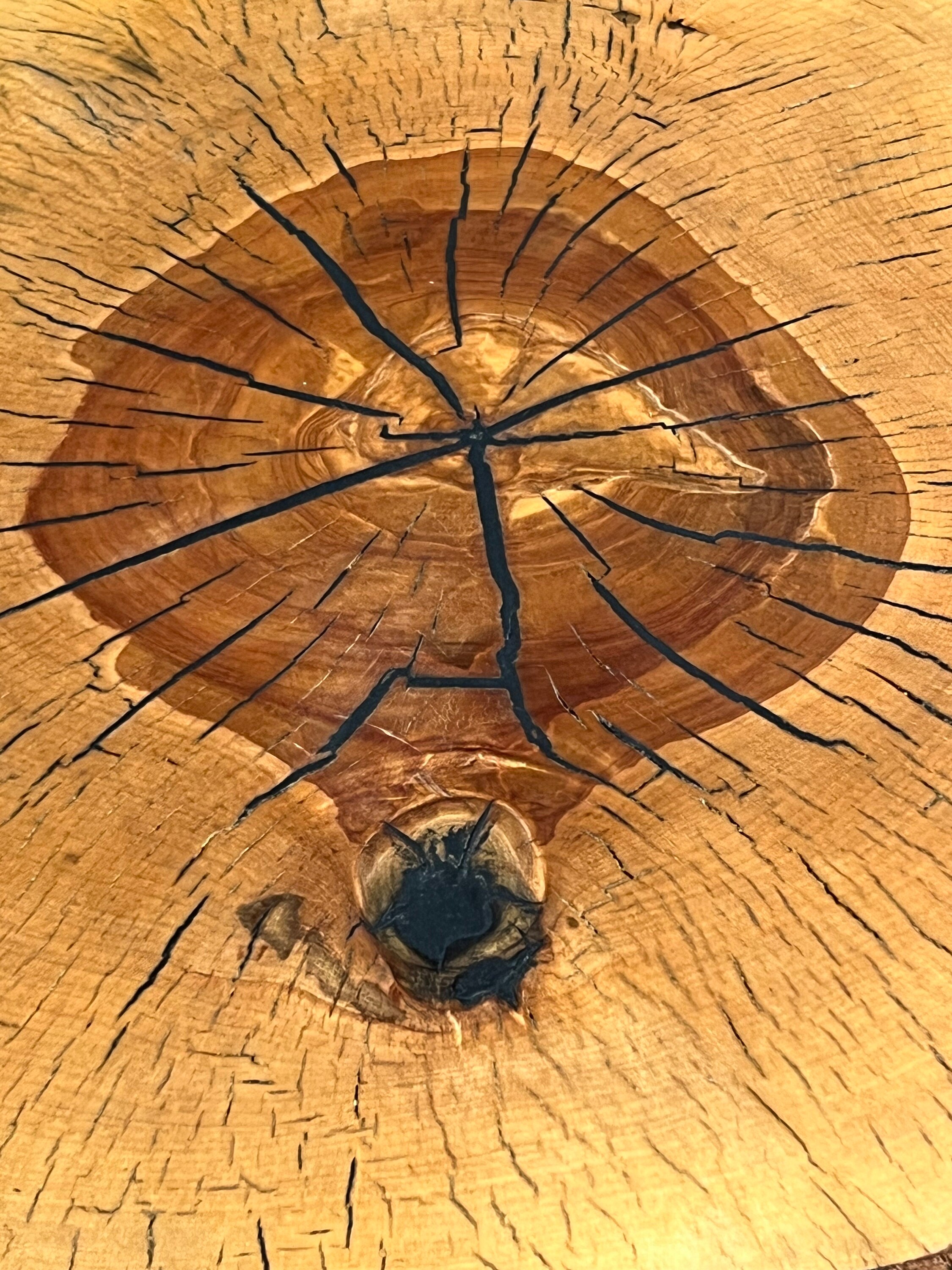 Beistelltisch Aus Zedernholz In Pilzform – Rustikaler Baumstumpf-Hocker, Ca. 35x30x36 Cm, Naturbelassen, Für Indoor & Outdoor
