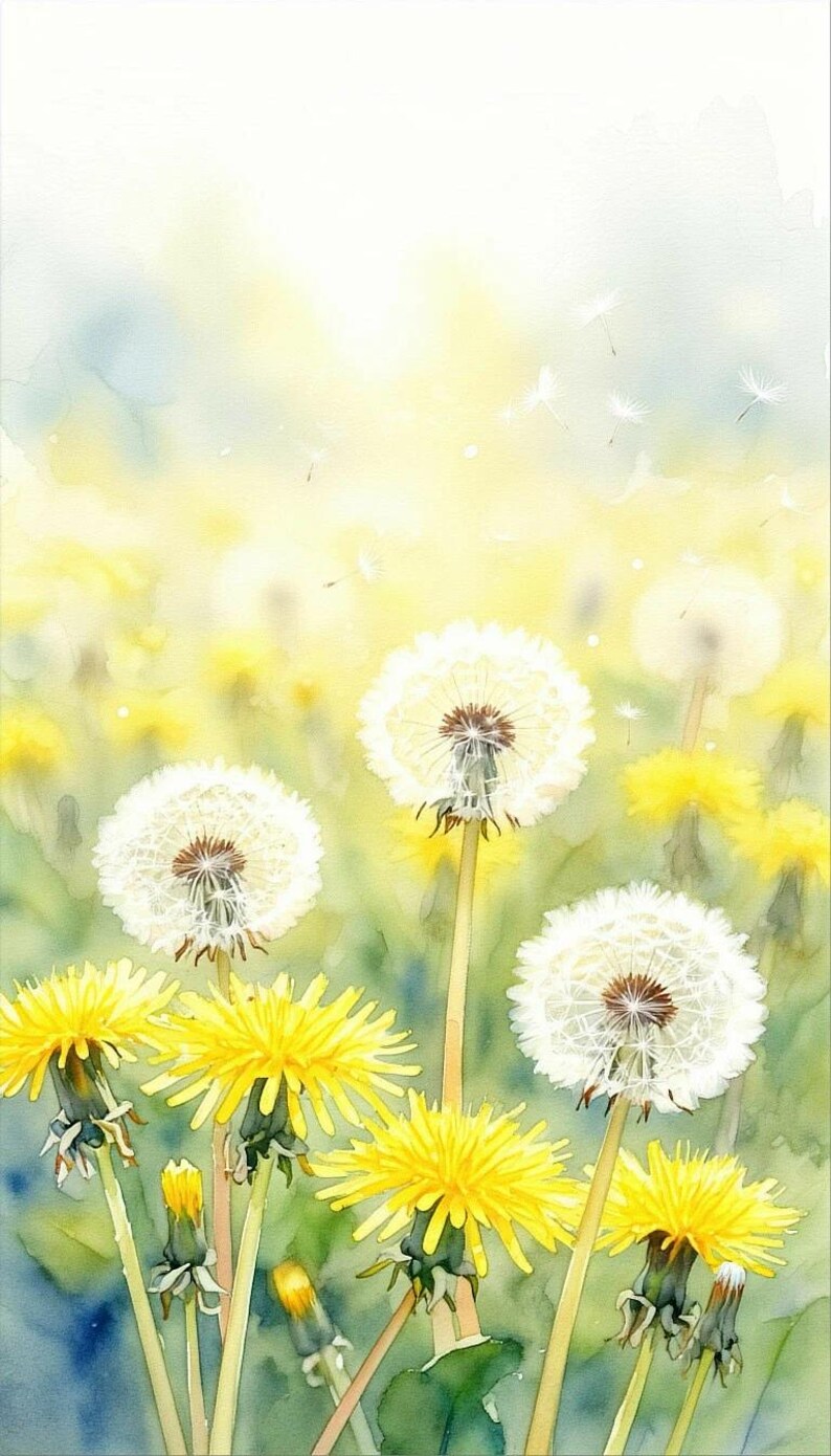 Pu&ograve; includere: Dipinto ad acquerello di denti di leone in varie fasi di fioritura. L'immagine presenta fiori giallo brillante e soffici capolini bianchi su uno sfondo morbido e sfocato di verde e giallo.