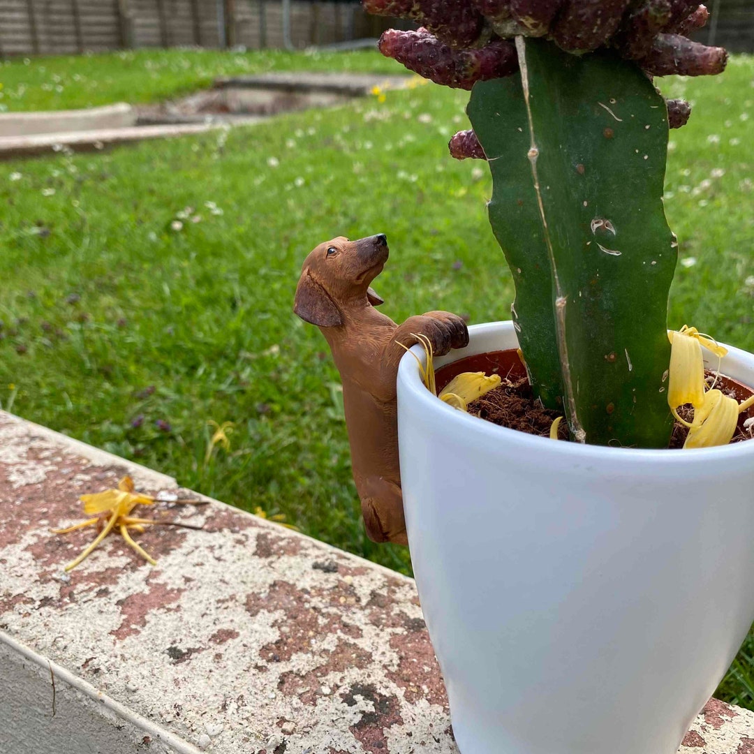 Sausage Dog Pot Hanger in Antique Bronze Planter Accessories Etsy